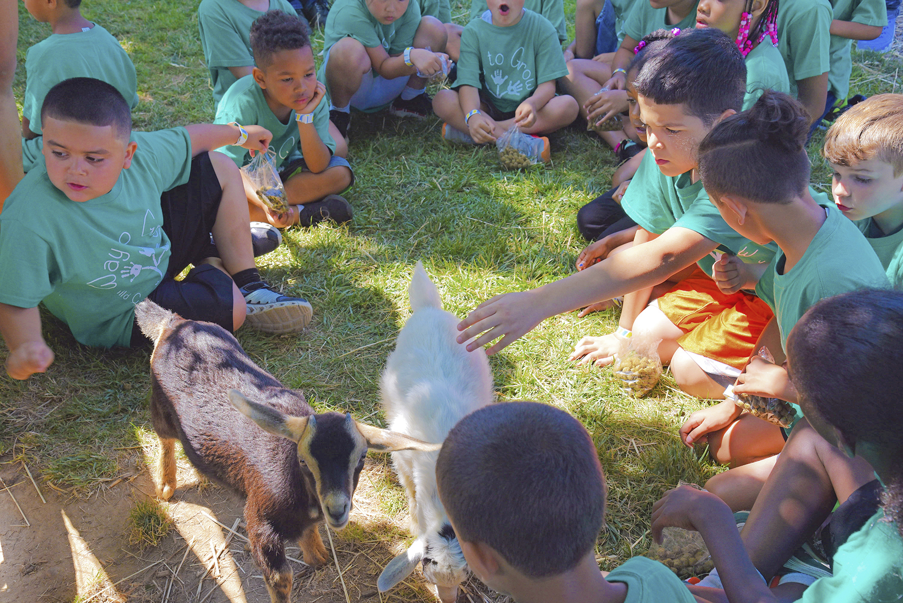 Group of kids sitting in a circle feeding baby goats